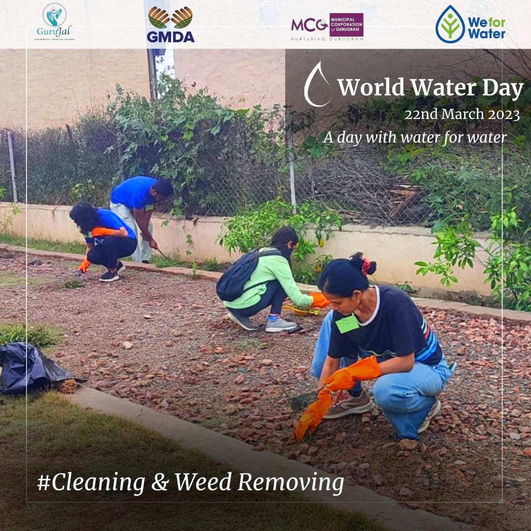 GuruJalGurugram's tweet photo. We are thrilled to share that @OfficialGMDA, #WeForWater and @GuruJalGurugram organized a highly successful cleanup drive today, and we're excited to report that over 50 participants came together to make a positive impact in our community. @MunCorpGurugram https://t.co/r5IWVhNBXL