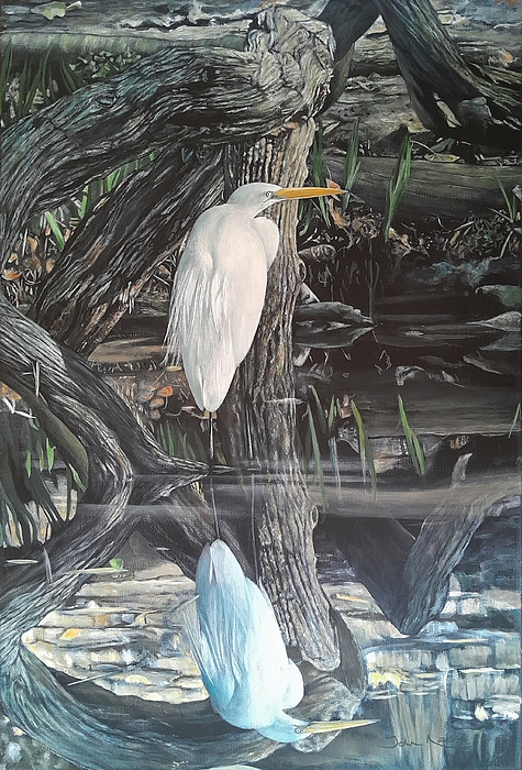 John_Neeve's tweet photo. New artwork for sale! - "Great Egret with Reflection" - https://t.co/tBAsXpbY6C @fineartamerica https://t.co/DhpuEfL9Dl
