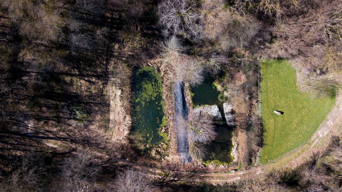 💧 Avui, #DiaMundialdelAigua presentem amb el <a href="/CCGarrotxa/">Consell Comarcal de la Garrotxa</a>, amb <a href="/santjoanfontsaj/">Sant Joan les Fonts</a> i amb el Sigma, la restauració ambiental dels aiguamolls artificials de depuració de Begudà, a #SantJoanlesFonts.

🌱 Apostem per la protecció dels ecosistemes amb projectes de restauració ecològica.