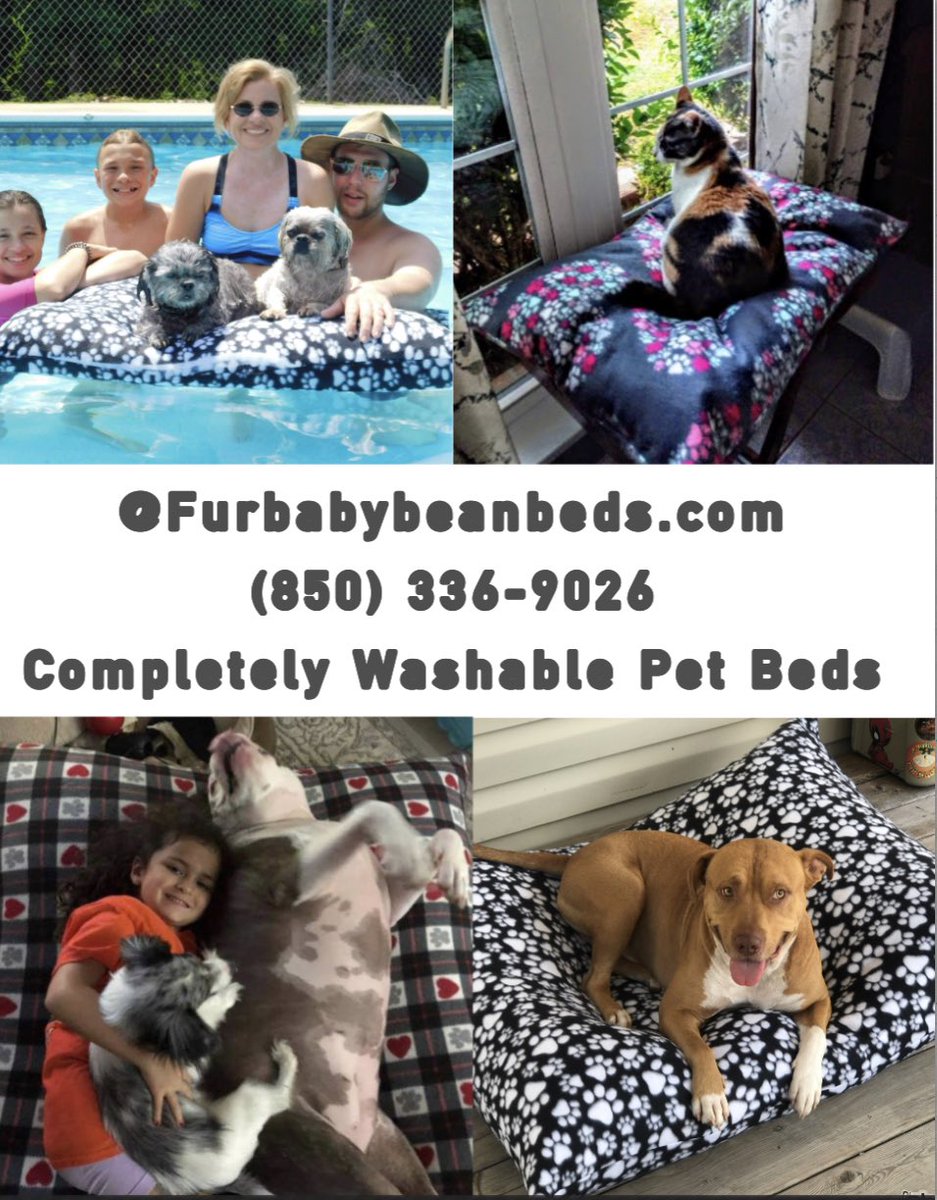 Furbaby Bean Beds LLC tweet media