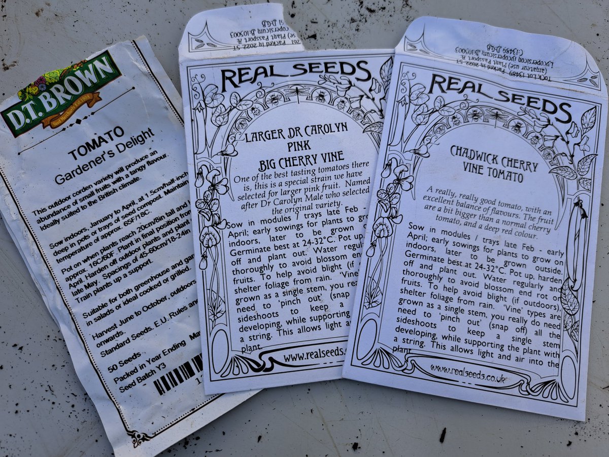 ScotswoodGarden's tweet photo. We sowed 3 tomato varieties - Gardener's Delight, Dr. Carolyn, & Chadwick Cherry with our volunteers & @LearningForLif4 Most will be on sale at our open days and via our plant nursery.
We also sowed Common Alder & Silver Birch tree #seeds2trees from @LivingWoodsNE. Thank you! https://t.co/MSP0BTTBaL