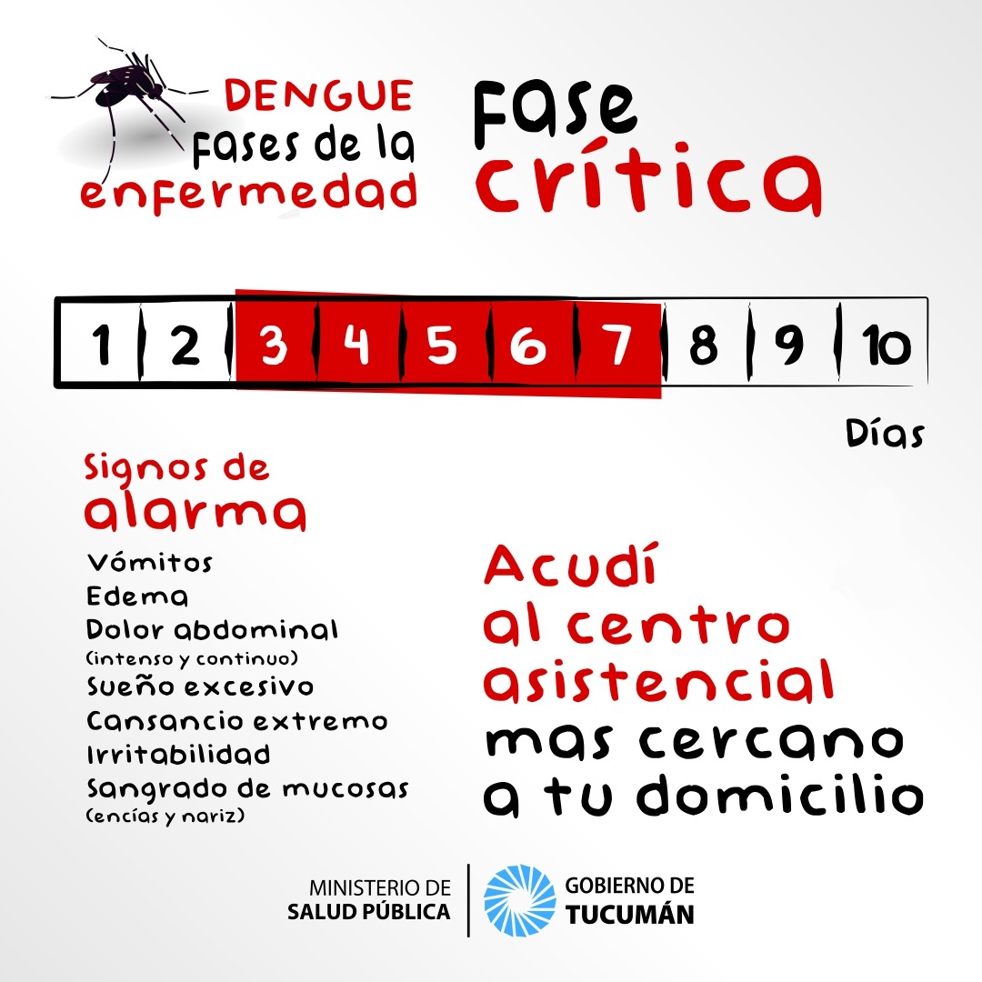GobiernoTucuman's tweet photo. 🚮 Si todos desde casa dedicamos un rato a eliminar los criaderos, podemos disminuir la reproducción del mosquito. Estas son las fases de la enfermedad, si tenes síntomas, acudí al CAPS u hospital más cercano y no te automediques. https://t.co/HwIlnS4KWN