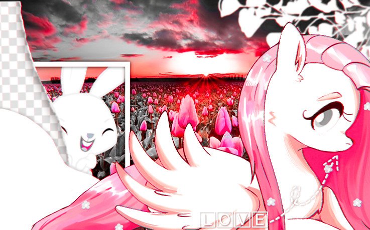 ✦ 𝕶𝐢𝐧𝐝𝐧𝐞𝐬𝐬𓈒 ଓ⊹ (@bctterflyism) on Twitter photo 