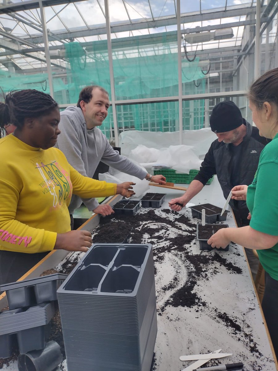 ScotswoodGarden's tweet photo. We sowed 3 tomato varieties - Gardener's Delight, Dr. Carolyn, & Chadwick Cherry with our volunteers & @LearningForLif4 Most will be on sale at our open days and via our plant nursery.
We also sowed Common Alder & Silver Birch tree #seeds2trees from @LivingWoodsNE. Thank you! https://t.co/MSP0BTTBaL