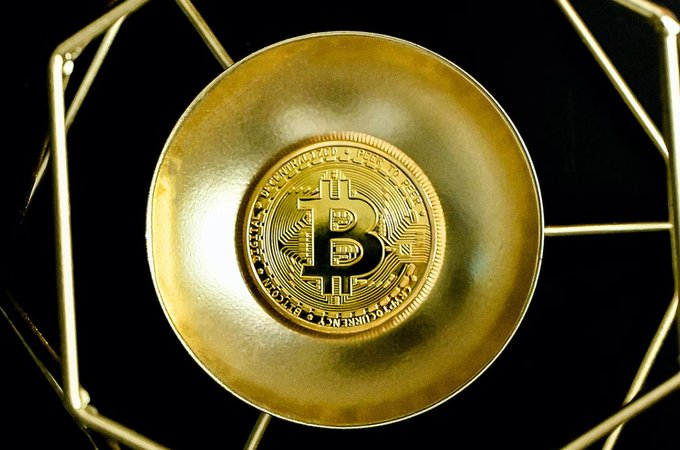 X-Meme Coin(💙,🧡) tweet media