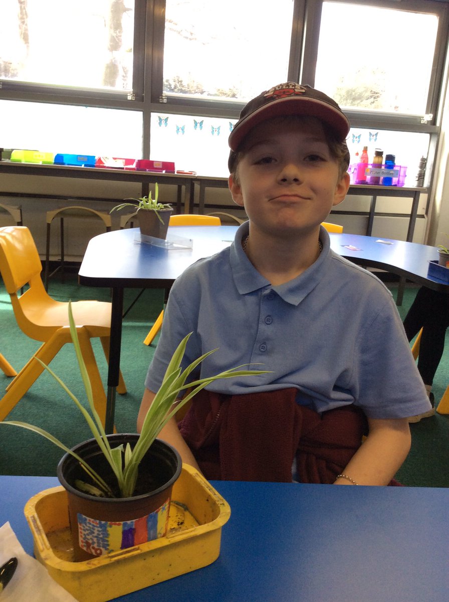 ks2_group's tweet photo. Today we got to take home our pottery and plant our spider baby cuttings into pots.
@StradbrokePri https://t.co/vTXrmI9fDe