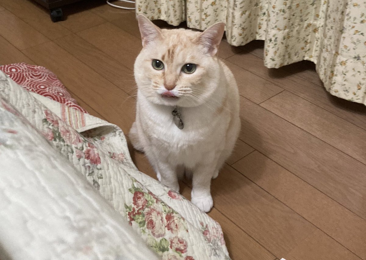 serosa7732's tweet photo. ベストショット！ https://t.co/tTeclSnbi2