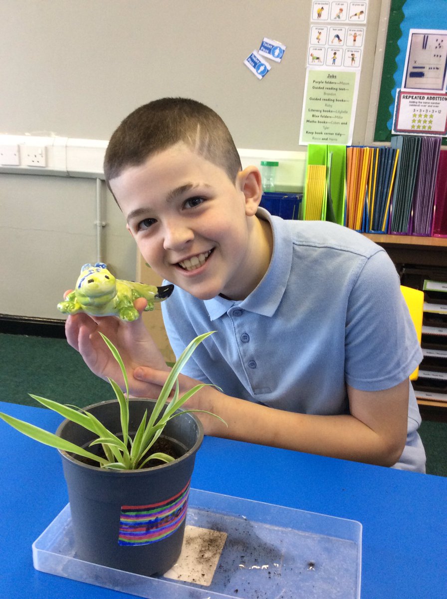 ks2_group's tweet photo. Today we got to take home our pottery and plant our spider baby cuttings into pots.
@StradbrokePri https://t.co/vTXrmI9fDe