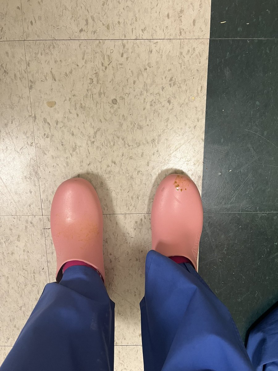 MFW (@mfw_md) on Twitter photo Inspired by <a href="/kmgee9/">Kristin Gee, MD</a> to look at the heel of my <a href="/calzuroshoes/">Calzuro</a> worn PGY4-8 …. Seems like I should have looked a few *years* sooner. I feel like I can blame <a href="/YaleSurgery/">Yale Surgery</a> #TEGS for this. Happy to report on day 1 with new shoes I got explosively stooled on by a bebé Inspired by <a href="/kmgee9/">Kristin Gee, MD</a> to look at the heel of my <a href="/calzuroshoes/">Calzuro</a> worn PGY4-8 …. Seems like I should have looked a few *years* sooner. I feel like I can blame <a href="/YaleSurgery/">Yale Surgery</a> #TEGS for this. Happy to report on day 1 with new shoes I got explosively stooled on by a bebé