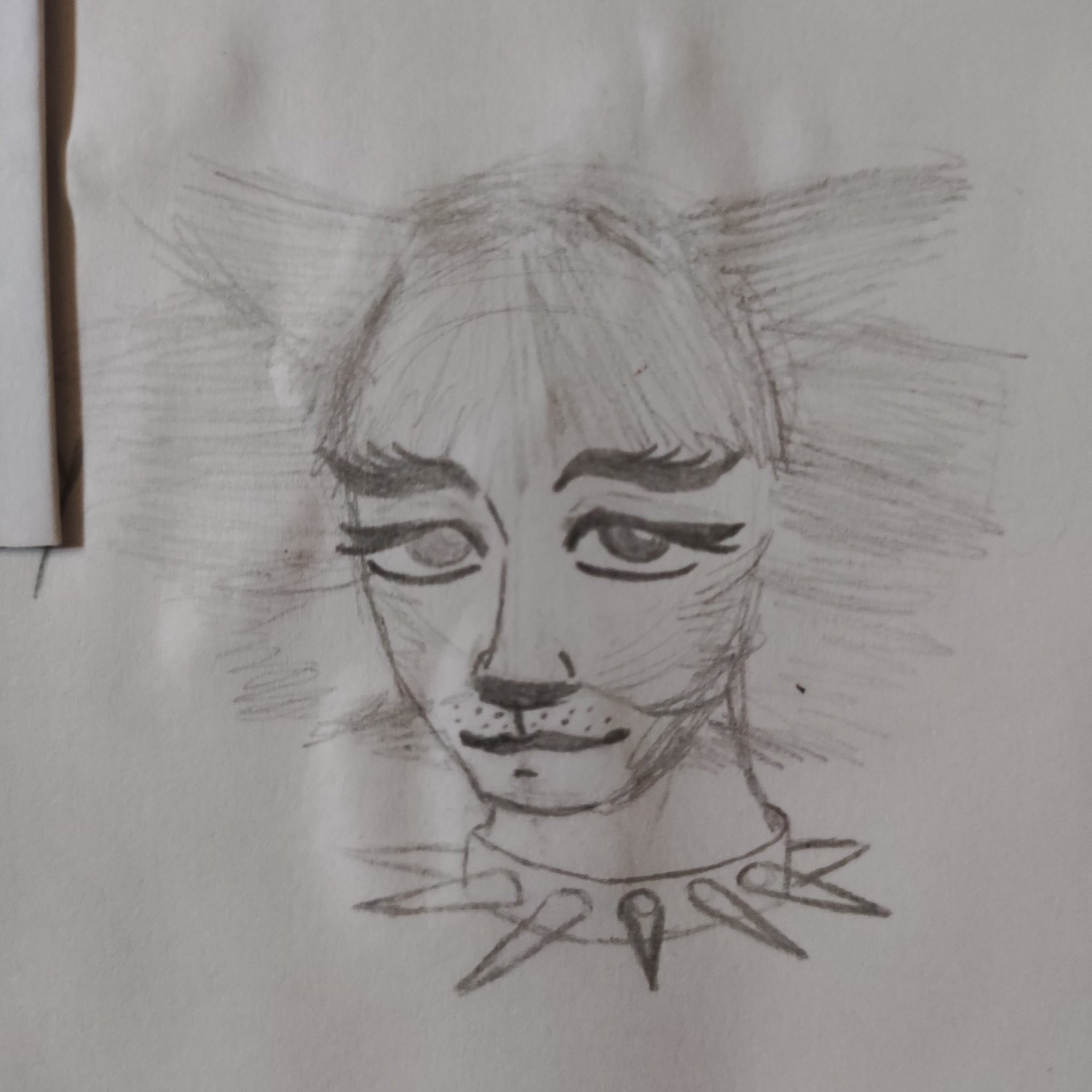 Everyone it\s Andrew Lloyd Webber Day and i drew cats WOOOOO happy birthday :DD 