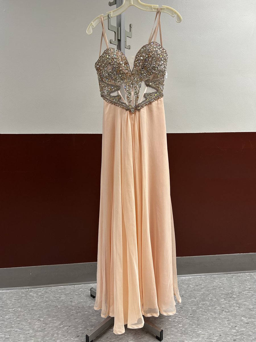 SOS_Palmer's tweet photo. Our Dress to Impress Loan Program has exploded!! Grey and black tuxedos in every size. Over 90 prom dresses to choose from. We even have shoes! See Mrs Cucci or Mrs Haslauer to try on your perfect prom fit. https://t.co/P1I6tQ0lzG