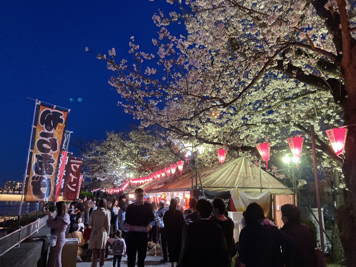 今日は早くお迎えに行って、帰りに墨堤桜まつりへ。子供たちは桜橋のモニュメント、夜桜、露天の焼きそばと大満喫の模様。こういう何気ない子供との時間がかけがえないなぁと実感(^_^)