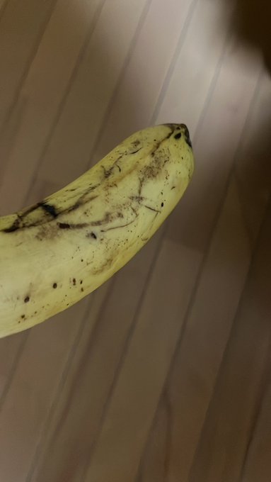 このぐらいのバナナが美味い(´^q^`)※アホガール観てからバナナにハマったw 
