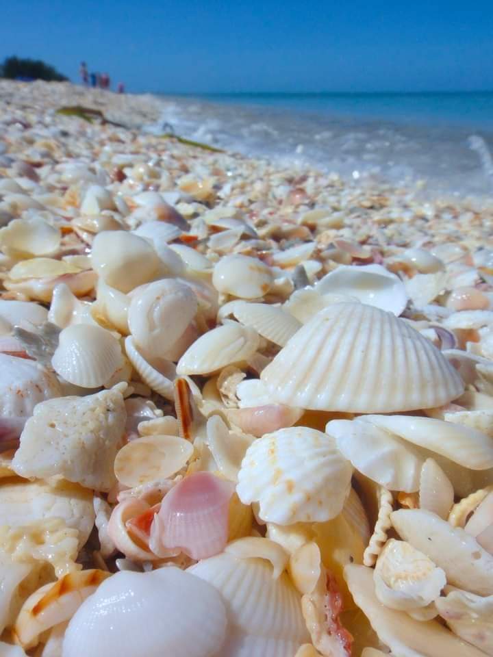 MissKwaji's tweet image. Water is life
Water is human
Water is right
Water matters
Water is mother 
Water is home 
Water is necessity 
Water is sanitation 
Water is health
Water is essential 
Water is need
Water is smile
Water is food
Water is for ALL HUMANS!
#WorldWaterDay2023 #UNWater2023Conference