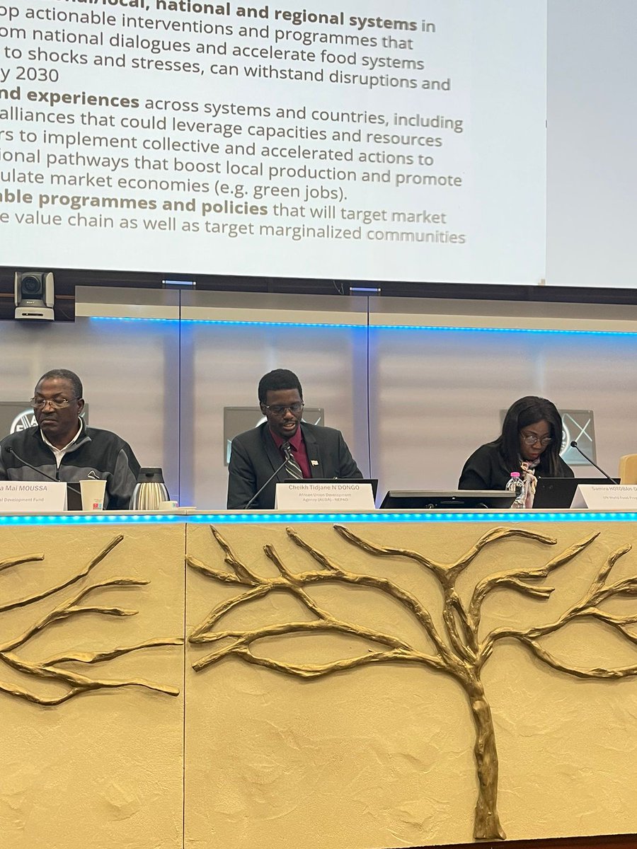 Presenting objectives of the #Resilient Local Food Supply Chain Alliance of the #UNFSS &amp; <a href="/NEPAD_Agency/">AUDA-NEPAD</a> chairing the session on Members States perspectives #Burundi #DRC &amp; #Italy with <a href="/WFP/">World Food Programme</a> <a href="/UNCDF/">UN Capital Development Fund</a> <a href="/FAO/">Food and Agriculture Organization</a> &amp; <a href="/IFAD/">International Fund for Agricultural Development</a>. This is critical to have more impact on the ground for #TheAfricaWeWant
