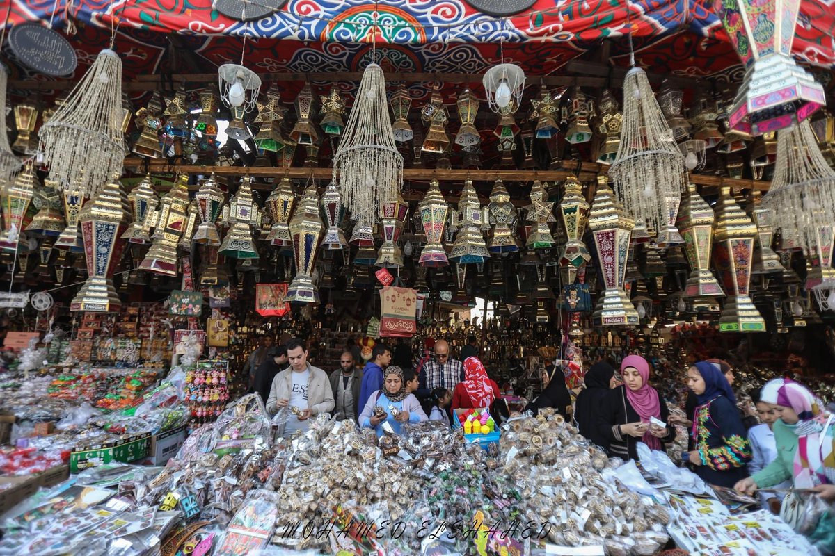 Mohamed El-Shahed tweet media