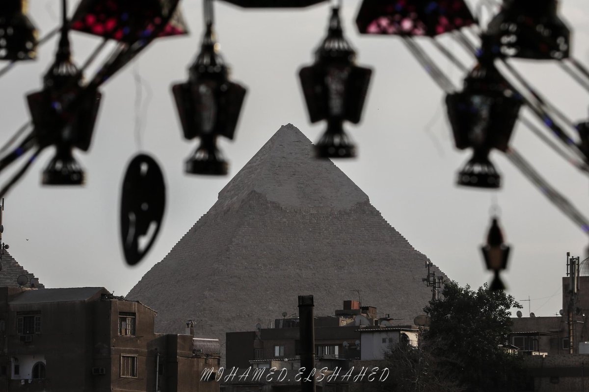 Mohamed El-Shahed tweet media