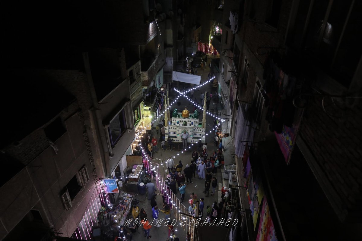 Mohamed El-Shahed tweet media