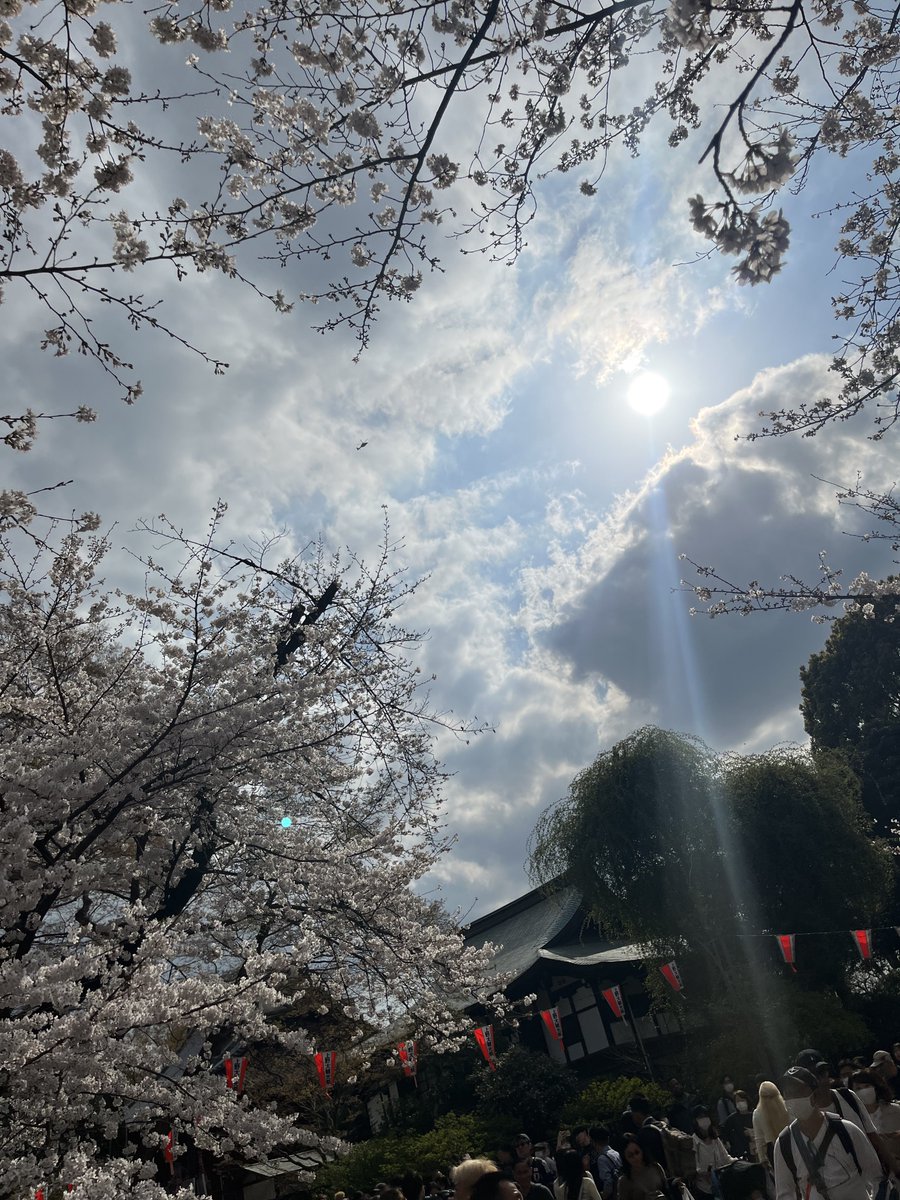 佐藤郁実 tweet media