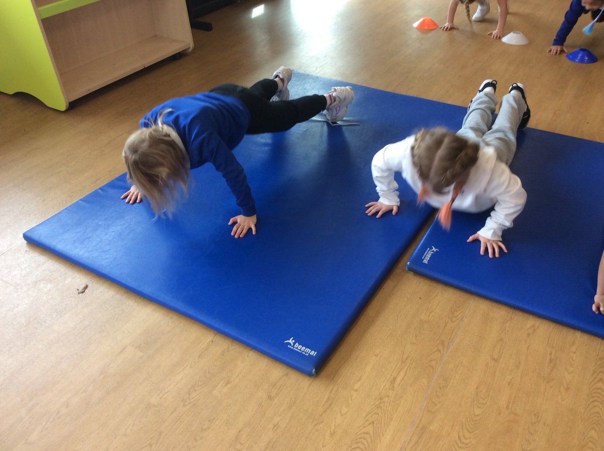 Foxfield Year 1 Hazel tweet media