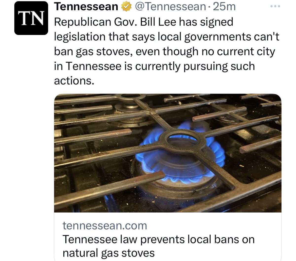 TheTNHoller's tweet photo. Congrats to @GovBillLee &amp; the @TNGOP for passing another pandering solution in search of a problem — meanwhile we’re at the bottom in poverty, violent crime, infant &amp; maternal mortality, Ed funding, medical bankruptcies, etc… 

But, y’know, protect gas stoves! 😵‍💫 https://t.co/2CZ9cmzTqJ