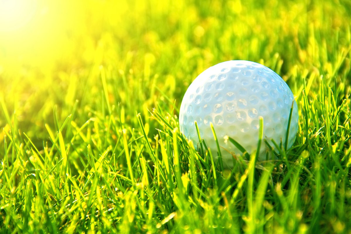 FindMyFoursome's tweet photo. Play more golf. Make more friends. Stay tuned for updates on our inaugural summer tournament and official launch date #golf https://t.co/Yl1FcSWpGL