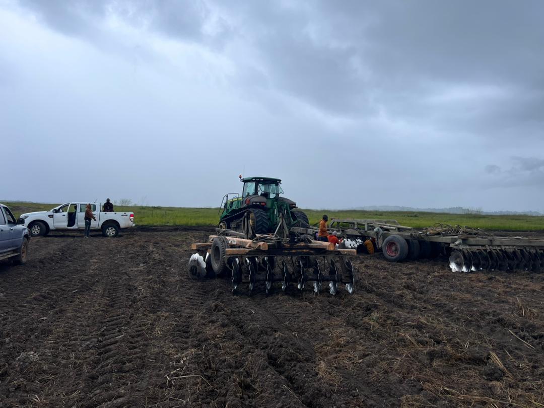 Ecostim's tweet photo. One of the @ecostim Team attived in #Tanzania today to supervise application of EcoCereal on Wheat for a new client. https://t.co/TTKGqEusmo