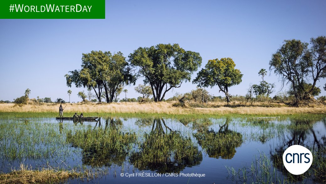 #WorldWaterDay 💧

À l'occasion de la #JournéeMondialeDelEau, découvrez quelques recherches menées par le <a href="/CNRS/">CNRS 🌍</a> sur cette ressource vitale ⬇️