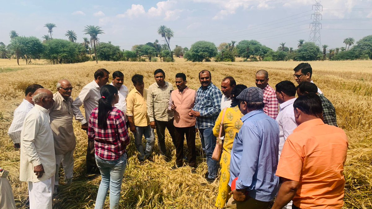 जल संसाधन मंत्री श्री तुलसीराम सिलावट ने खेतों में पहुंचकर क्षतिग्रस्त फसलों का मुआयना किया.
क्षति के आकलन के लिये तुरंत सर्वे प्रारंभ करने के दिये निर्देश.
Read more - m.facebook.com/story.php?stor…

#JansamparkMP 
#indore 
#agriculture 
<a href="/tulsi_silawat/">Tulsi Ram Silawat</a> 
 <a href="/minmpkrishi/">Agriculture Department, MP</a>