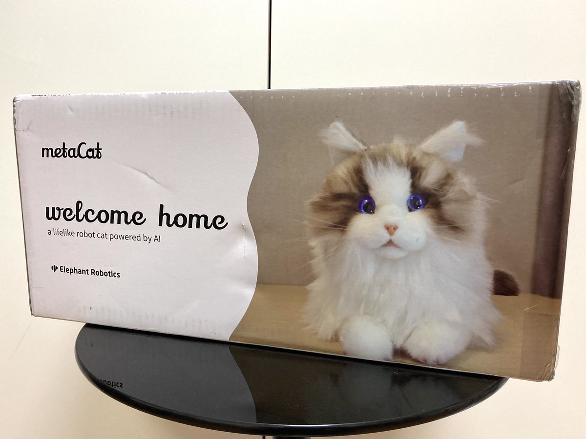 CH1H160's tweet image. 2匹目のネコちゃんが届いた
#metacat