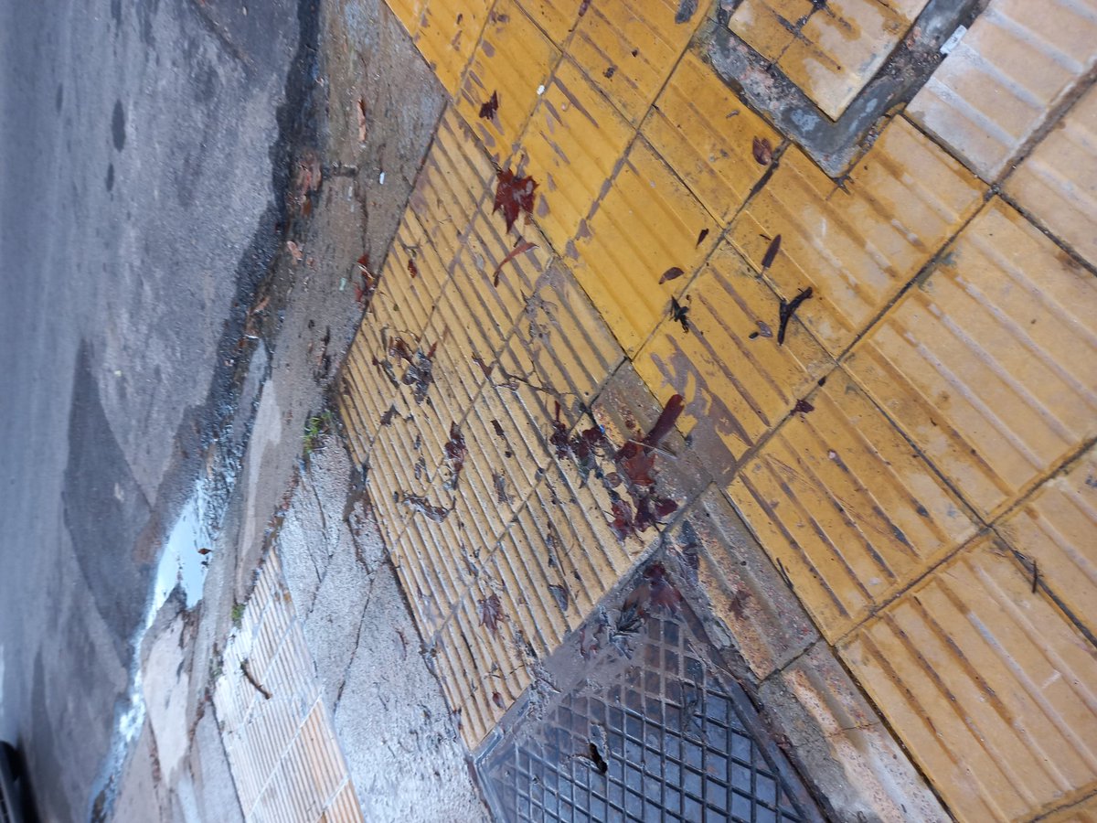 oli_madi's tweet photo. En el día Internacional del Agua, y con la sequía que hay, aquí se deja correr. @OSE_Uruguay Hace casi una semana que pierde a la altura de Dr Pena 4174. https://t.co/2OgL0dDy2R