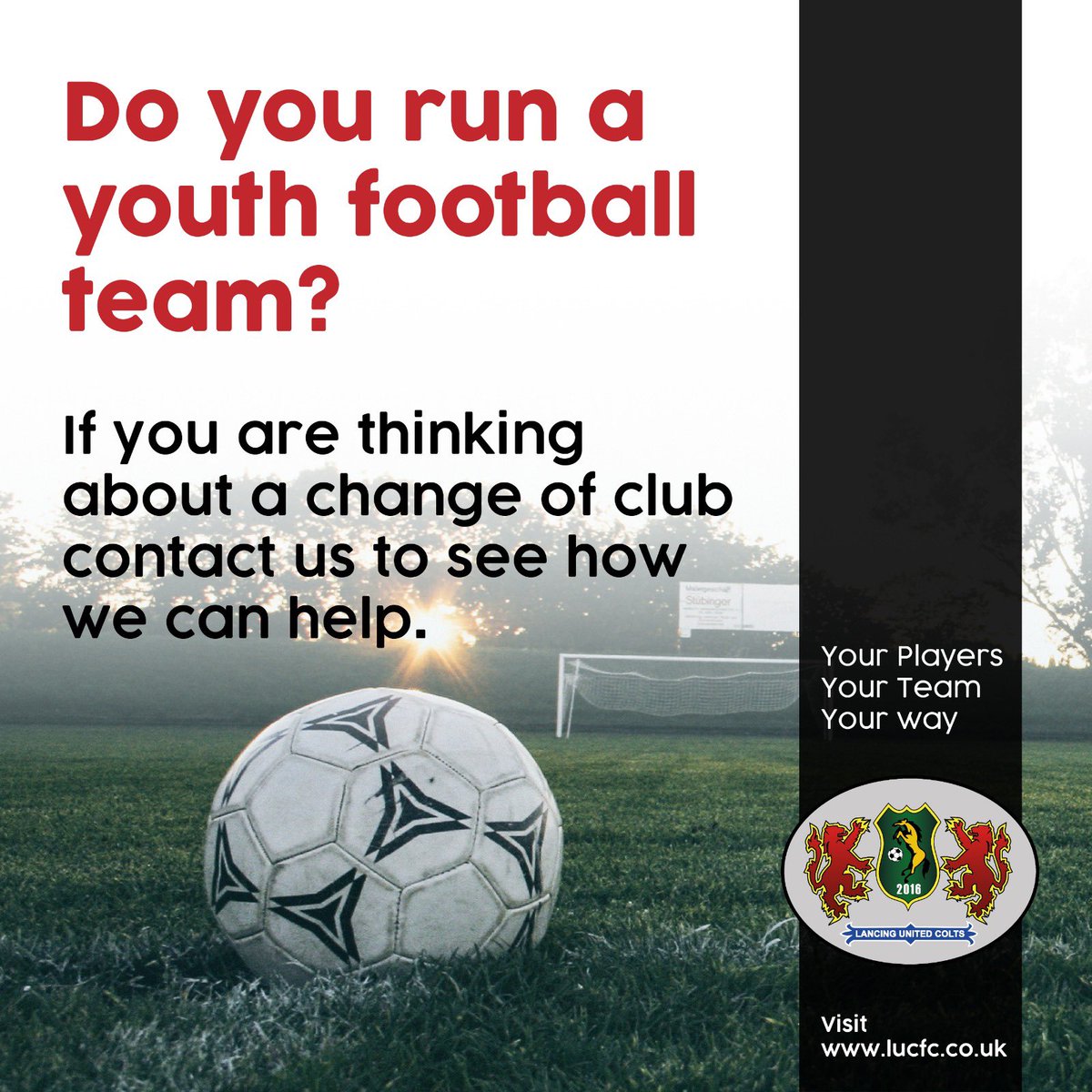 Lancing United FC tweet media