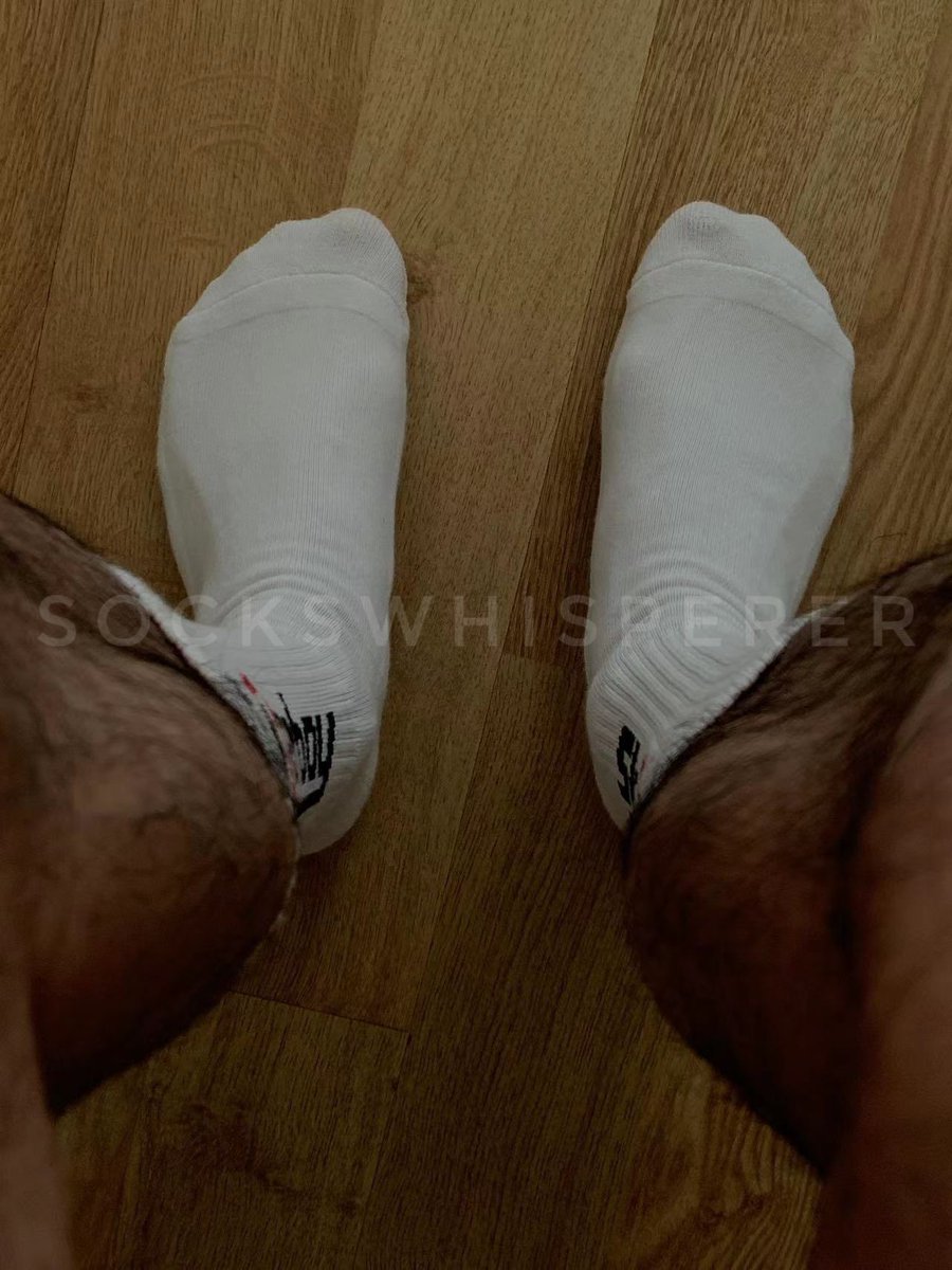 sockswhisperer tweet media