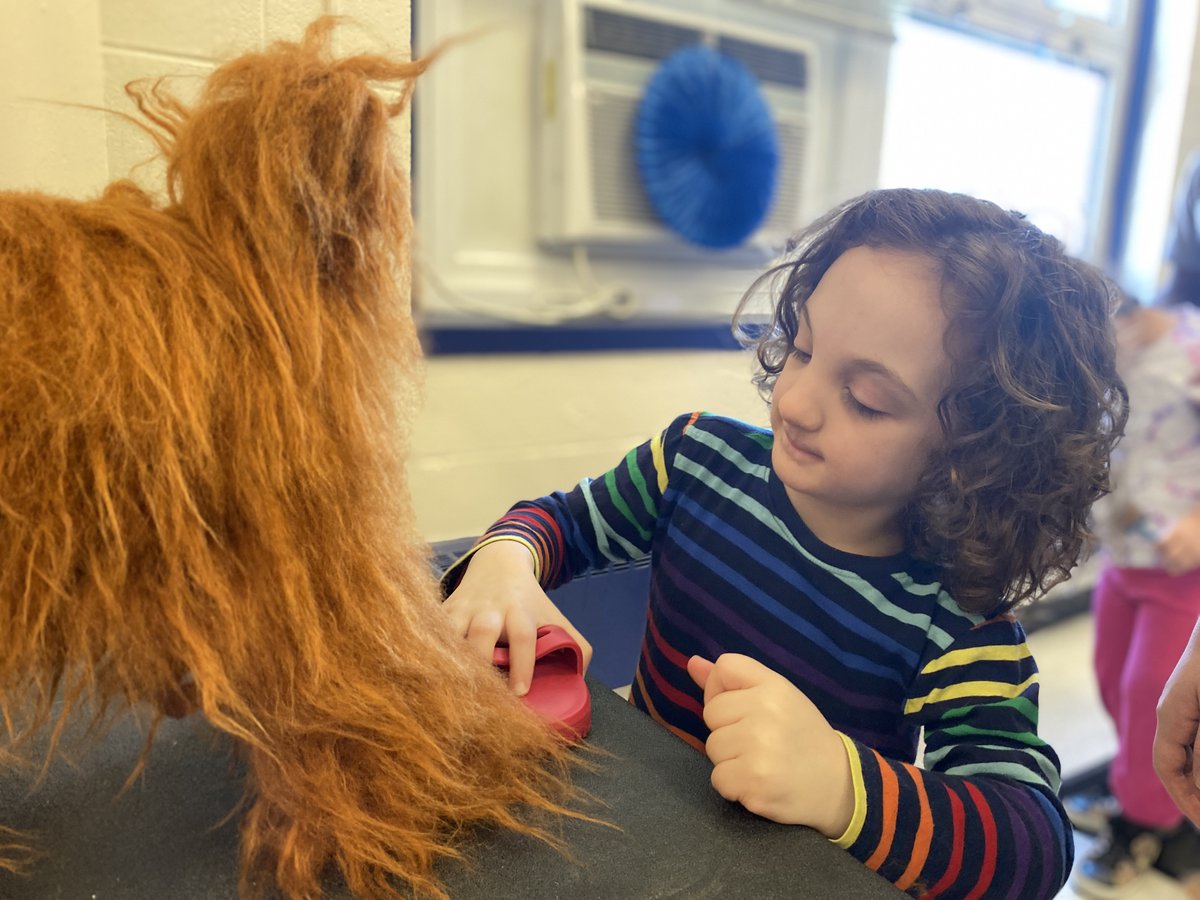 RocklandBOCES tweet media