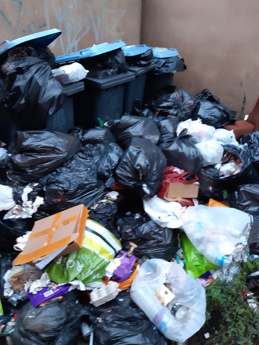 Clean_Leeds's tweet image. Who needs the Backstreet Boys when we have the 'Binyard Boys'

depositing waste in bin yards is illegal. please report any instances of fly tipping via leeds.gov.uk/antisocial-beh… 
Thanks to the Headingley, Hyde Park team for this effort! #LS6 #CleanStreets #flytip @Jonathan_Pryor