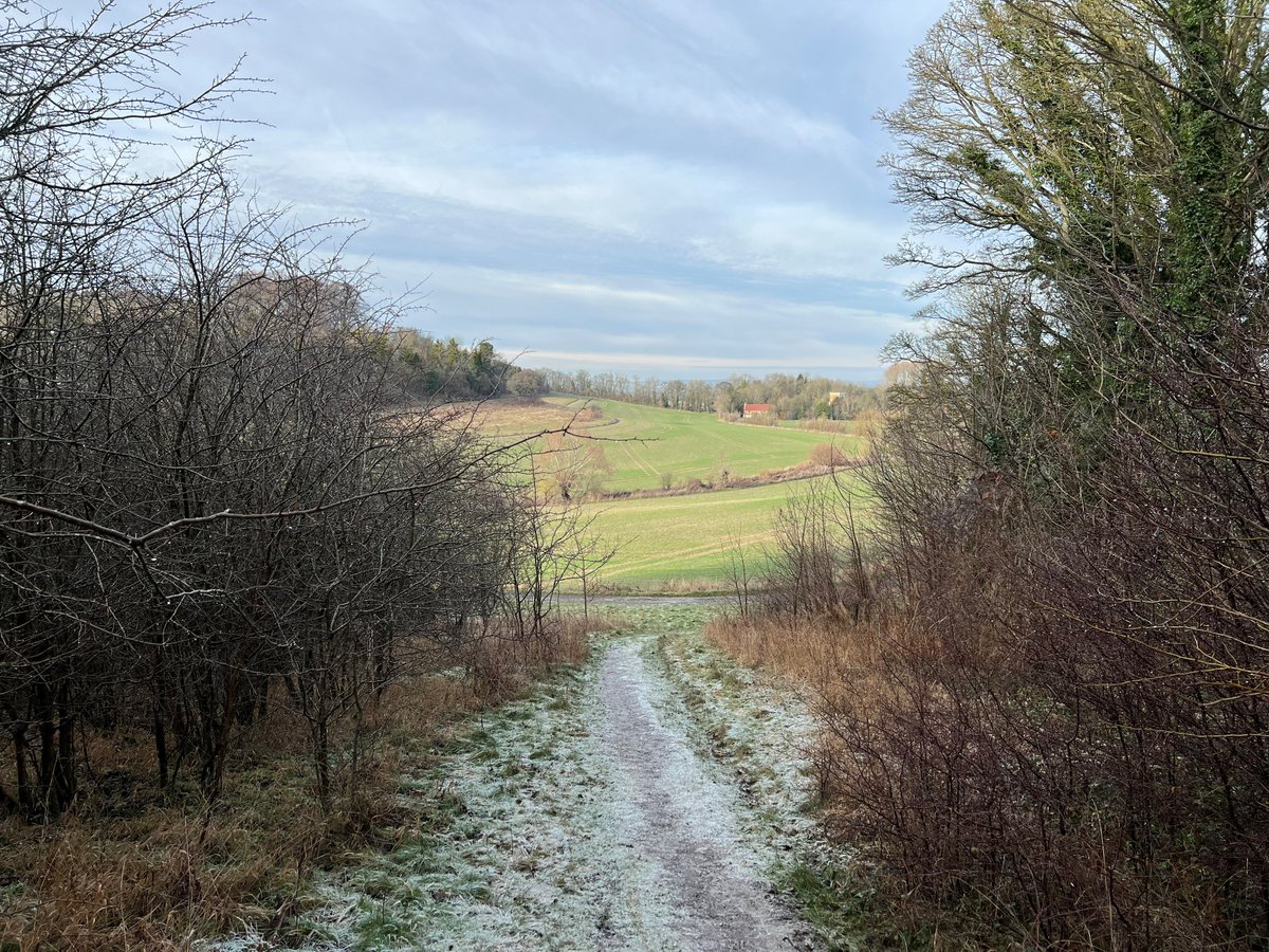 NE_WestAnglia's tweet image. Exciting news! We’ve just acquired part of Hexton Estate, 586 acres that links up North Chilterns nature-rich sites. Looking forward to working with landowners, @wildlifebcn @HMWTBadger @East_England_NT @ChilternsAONB on this new #NatureNetwork #HextonHills