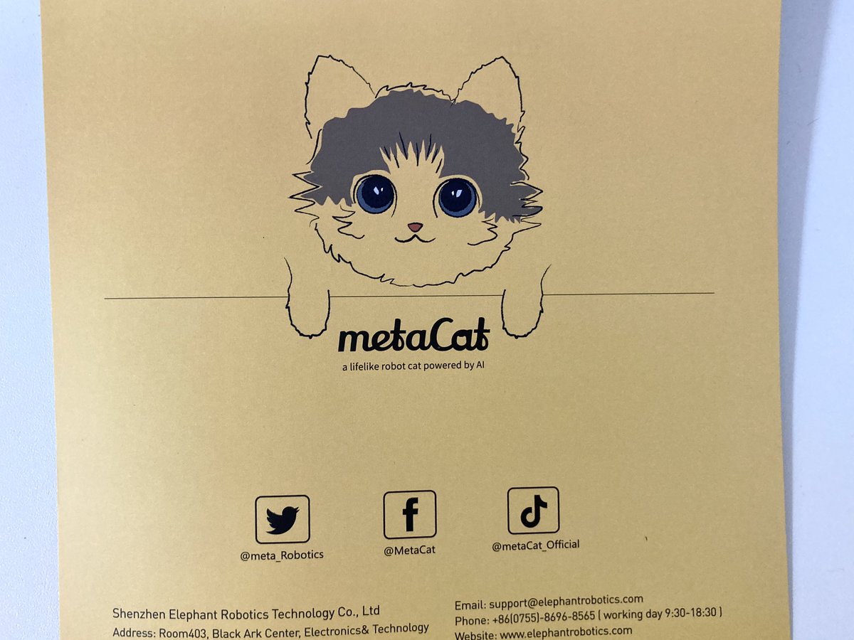 CH1H160's tweet image. 取説のネコちゃんかわいい！
#metacat