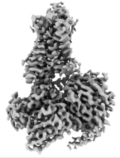 Hideaki E. Kato tweet media