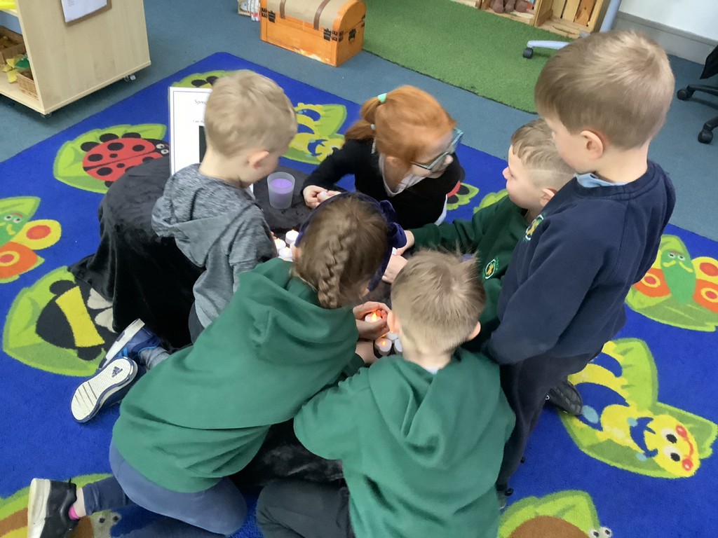 St. Patrick’s Primary School tweet media