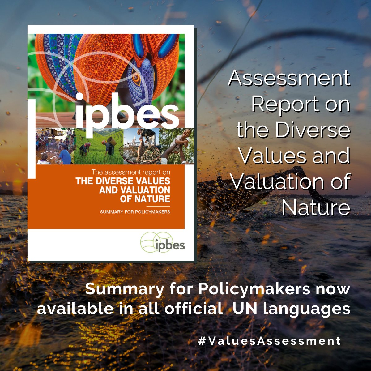 ipbes (@IPBES) on Twitter photo 2023-03-22 16:07:00 💥BREAKING NEWS💥 In addition to English, the Summary for Policymakers of the @ipbes #ValuesAssessment is NOW available in: 📌Arabic 📌Chinese 📌French 📌Russian 📌Spanish #ForNature Access all the language versions⬇️ ipbes.net/the-values-ass… 💥BREAKING NEWS💥 In addition to English, the Summary for Policymakers of the @ipbes #ValuesAssessment is NOW available in: 📌Arabic 📌Chinese 📌French 📌Russian 📌Spanish #ForNature Access all the language versions⬇️ ipbes.net/the-values-ass…