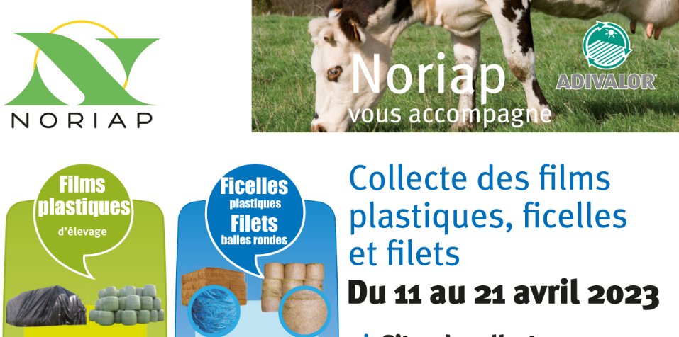 #collecte <a href="/adivalor/">Adivalor</a> ➡ pour vos #films, #ficelles, #filets RDV du 11 au 21 avril dans nos sites de collecte ! 
+ d'infos sur notre extranet : bit.ly/collecte-adiva…

<a href="/OlivierTHIBAUT5/">🚜 Olivier 🐄</a> <a href="/Latham76Olivier/">Julien Olivier</a>  <a href="/FabienHenocque/">Fabien Henocque</a> <a href="/oreefom/">maillard olivier</a> <a href="/HILR/">Hilaire</a>  <a href="/brunet_edouard/">edouard brunet</a> <a href="/agritof80/">ChristopheB.</a> <a href="/paysansaturnien/">Jérôme Caillerez</a>