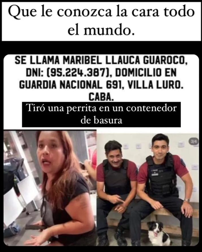 pmamiaro's tweet image. esta es la persona que tiró a su mascota en un contenedor
(la mascota por suerte fue salvada)
VILLA LURO