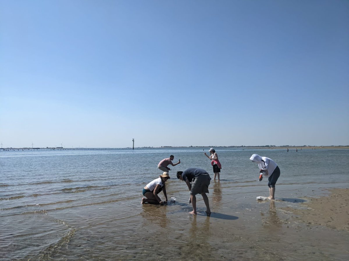 Baoxu Pang tweet media