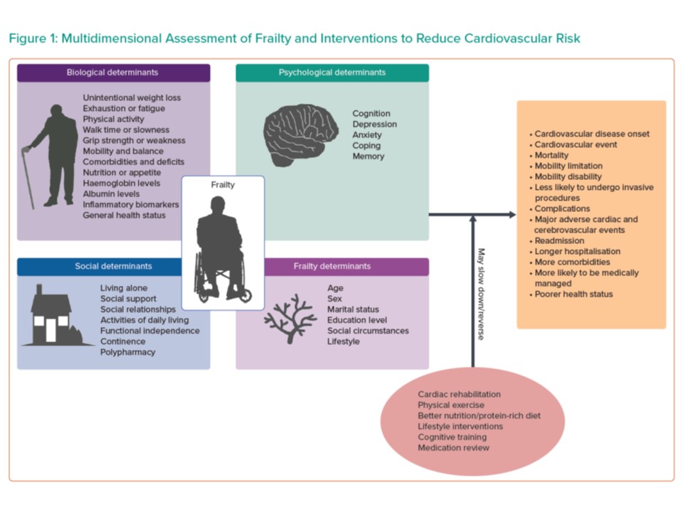FRAILTY REVIEW &amp; DIFFERENT SCORES:

Excellent figure showing DIFFERENT DETERMINANTS OF FRAILITY:
Social support &amp; relationships 
Inflammatory biomarkers 
Nutrition/appetite 
Education &amp; Social level
Lifestyle
Etc
&amp; DEFRAILING INTERVENTIONS that could improve this biological state