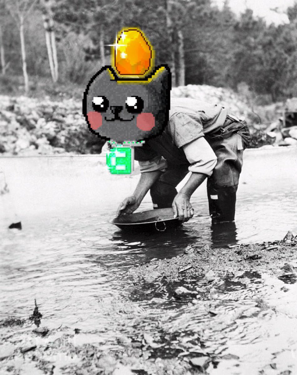 Yeehaw!
