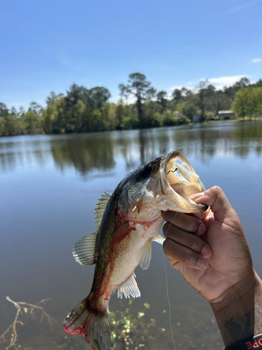 Curtis Fann Jr . tweet media