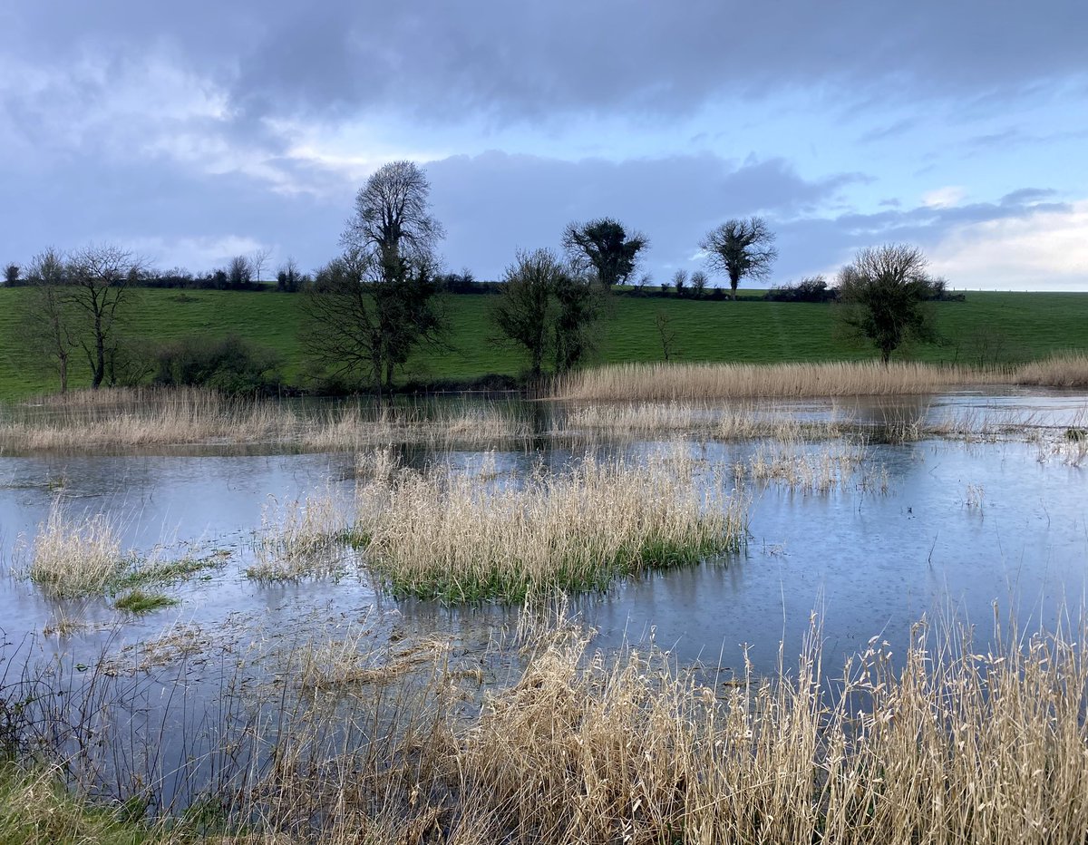 silky_gal 🤞🎗️🇺🇦🇵🇸🏳️‍🌈🏳️‍⚧️🇮🇪 سيلقي tweet media