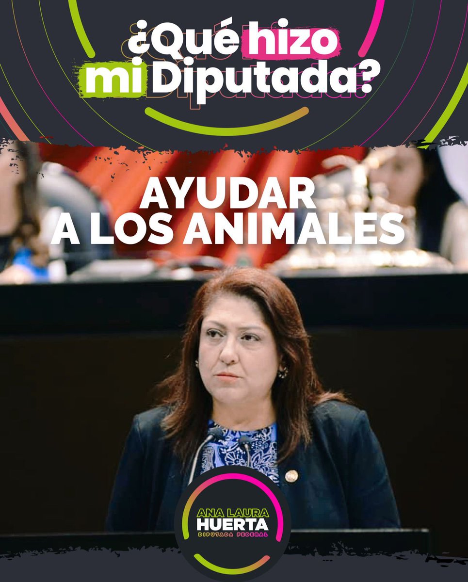 Ana Laura Huerta tweet media