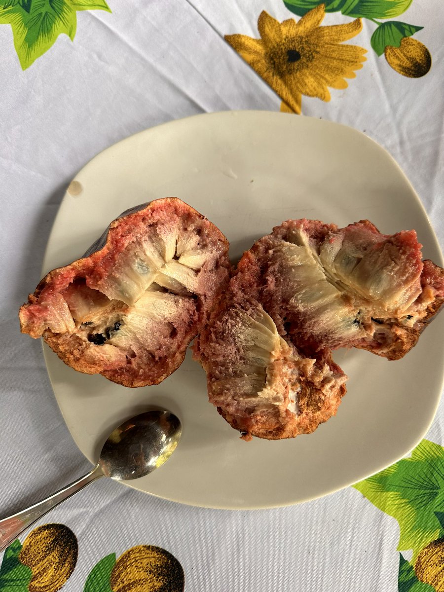 Anona del Rancho “Los Alvarez” del tío Rodo en Tenosique, Tabasco 💚