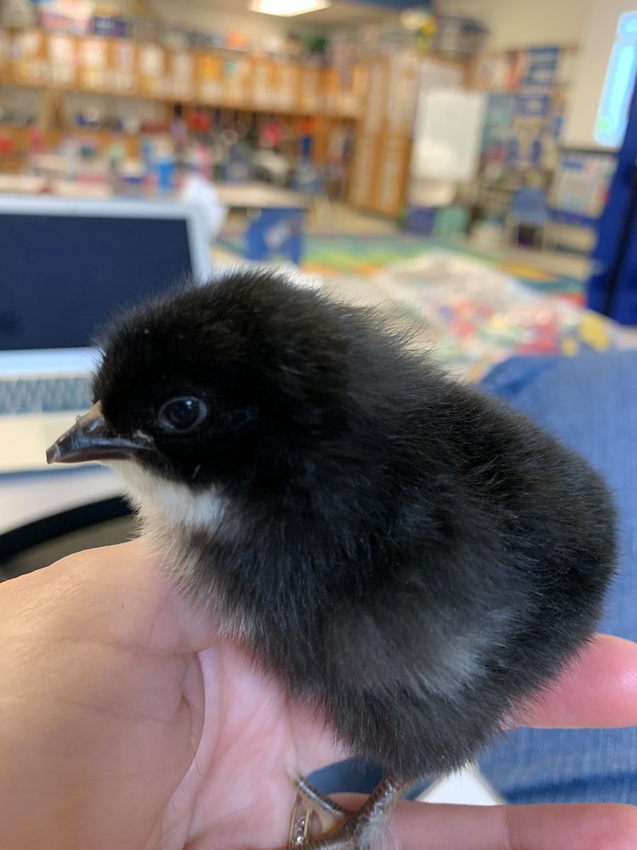 Erica Fleming tweet media